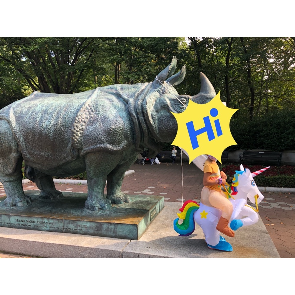 Inflatable Unicorn Costume